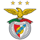 Benfica Zurich football