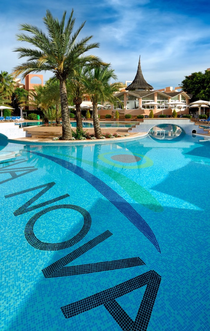 oliva nova
