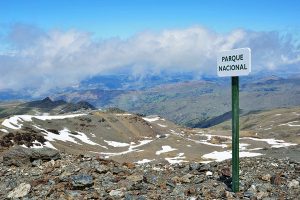 Athle Sierra Info