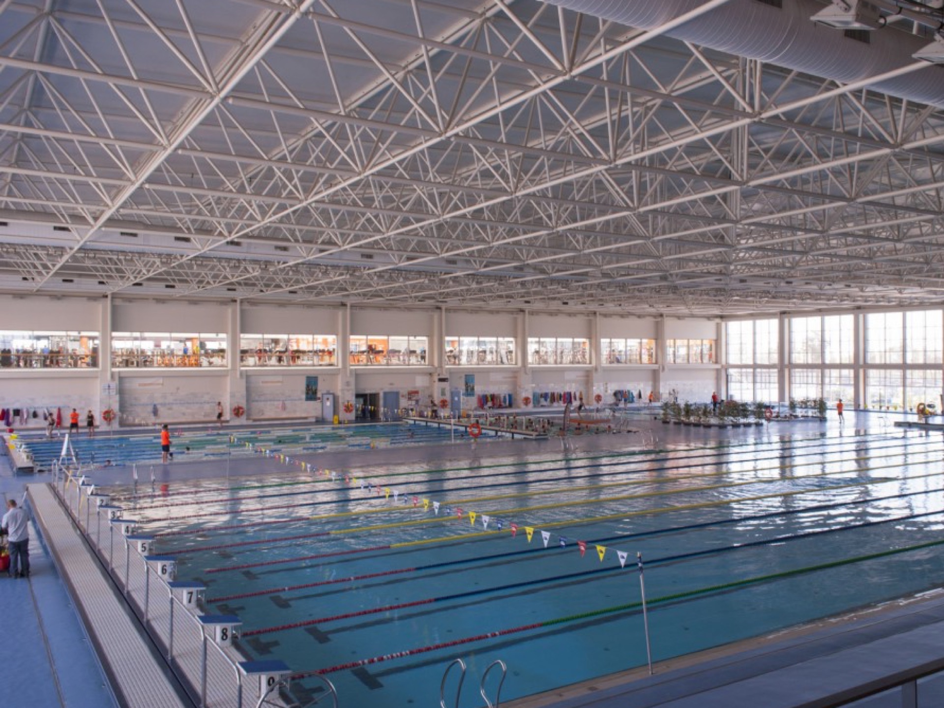 Sol Sports Swimming Camps in Málaga, Costa del Sol, Spain