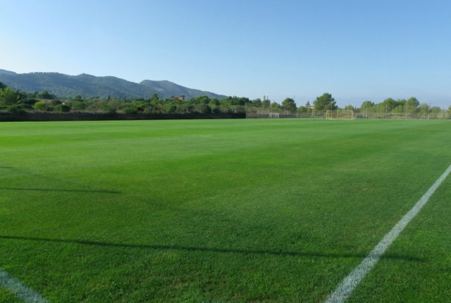 albir garden sports futbol 04